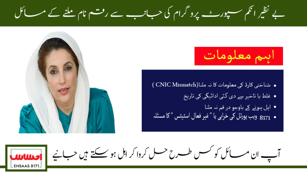 BISP 8171 Payment Issues Solution