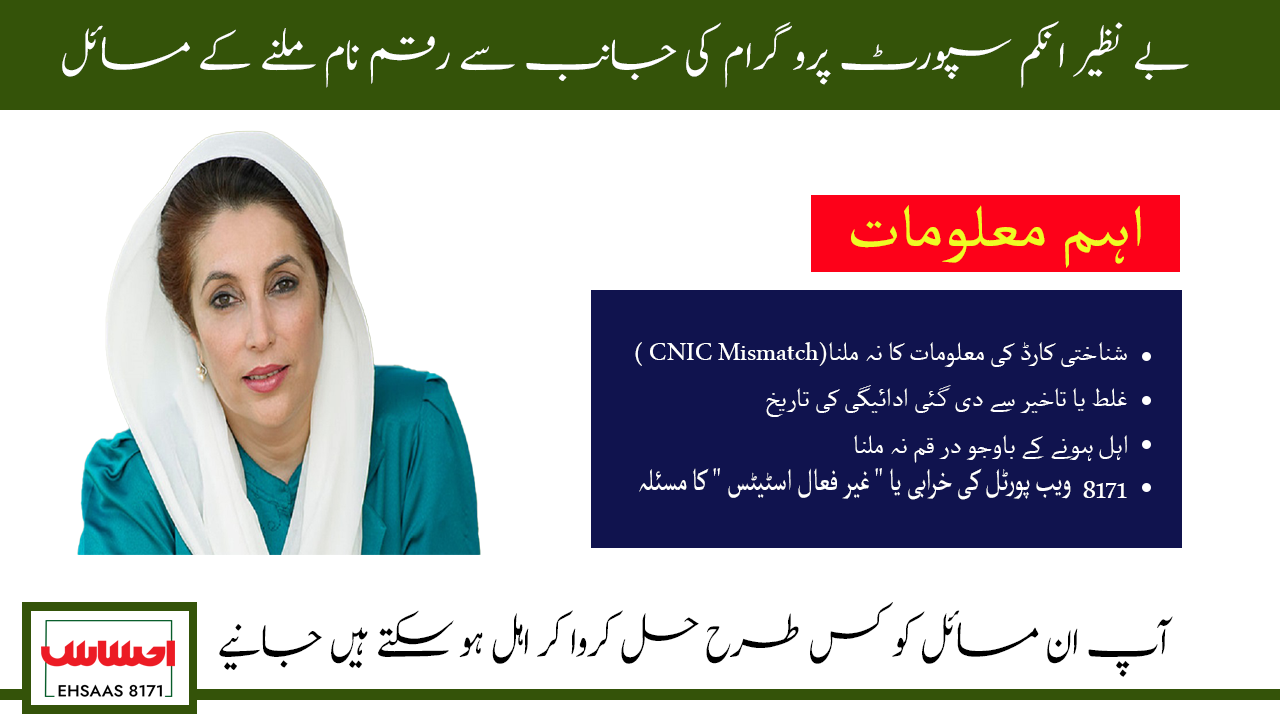 BISP 8171 Payment Issues Solution