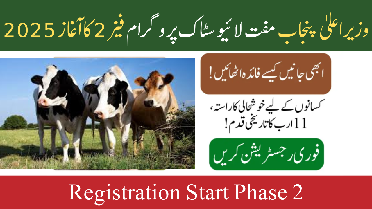 CM Punjab Free Livestock Program Phase 2 Start 2025